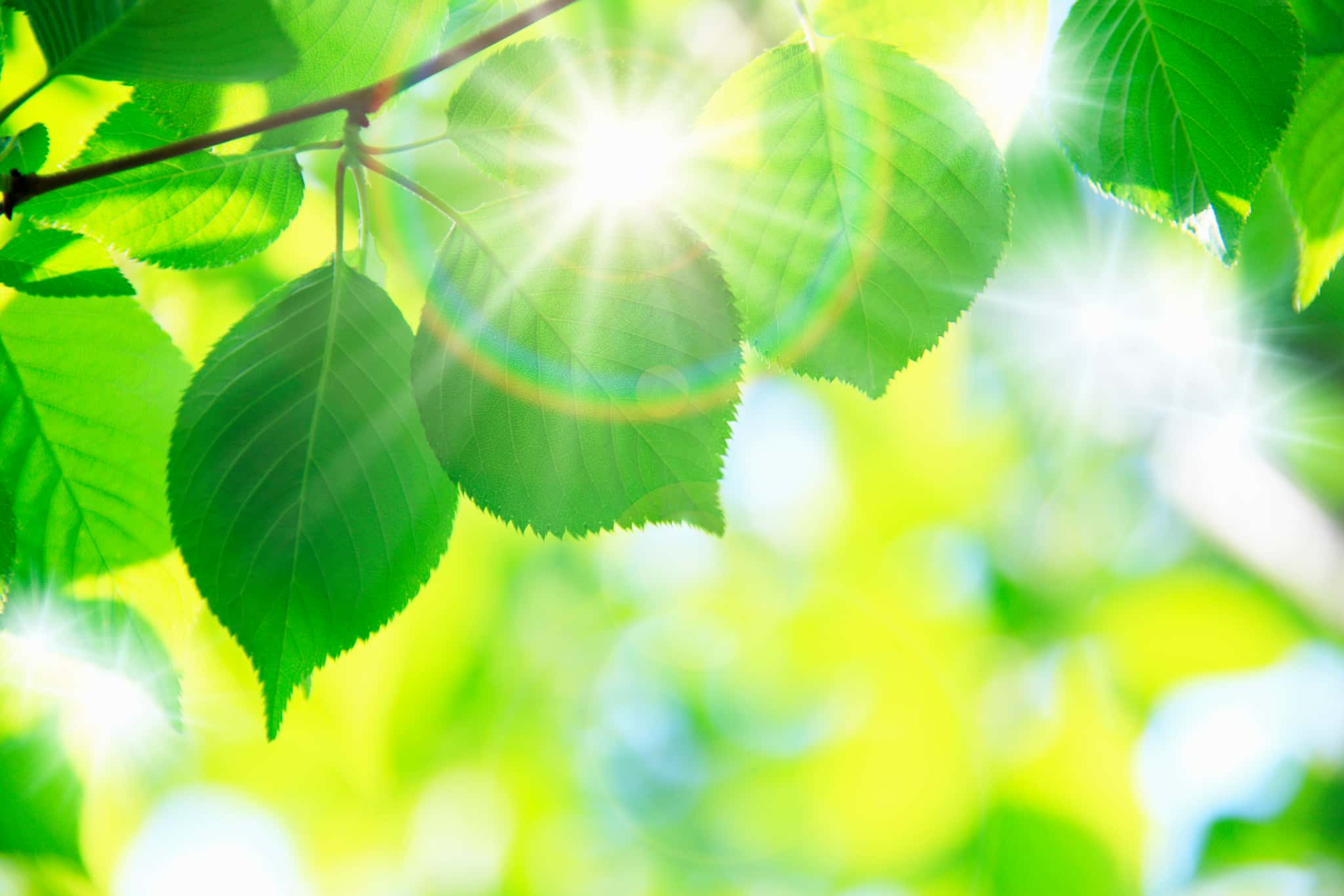 しあわせやの薬や手術に頼らないエネルギー療法